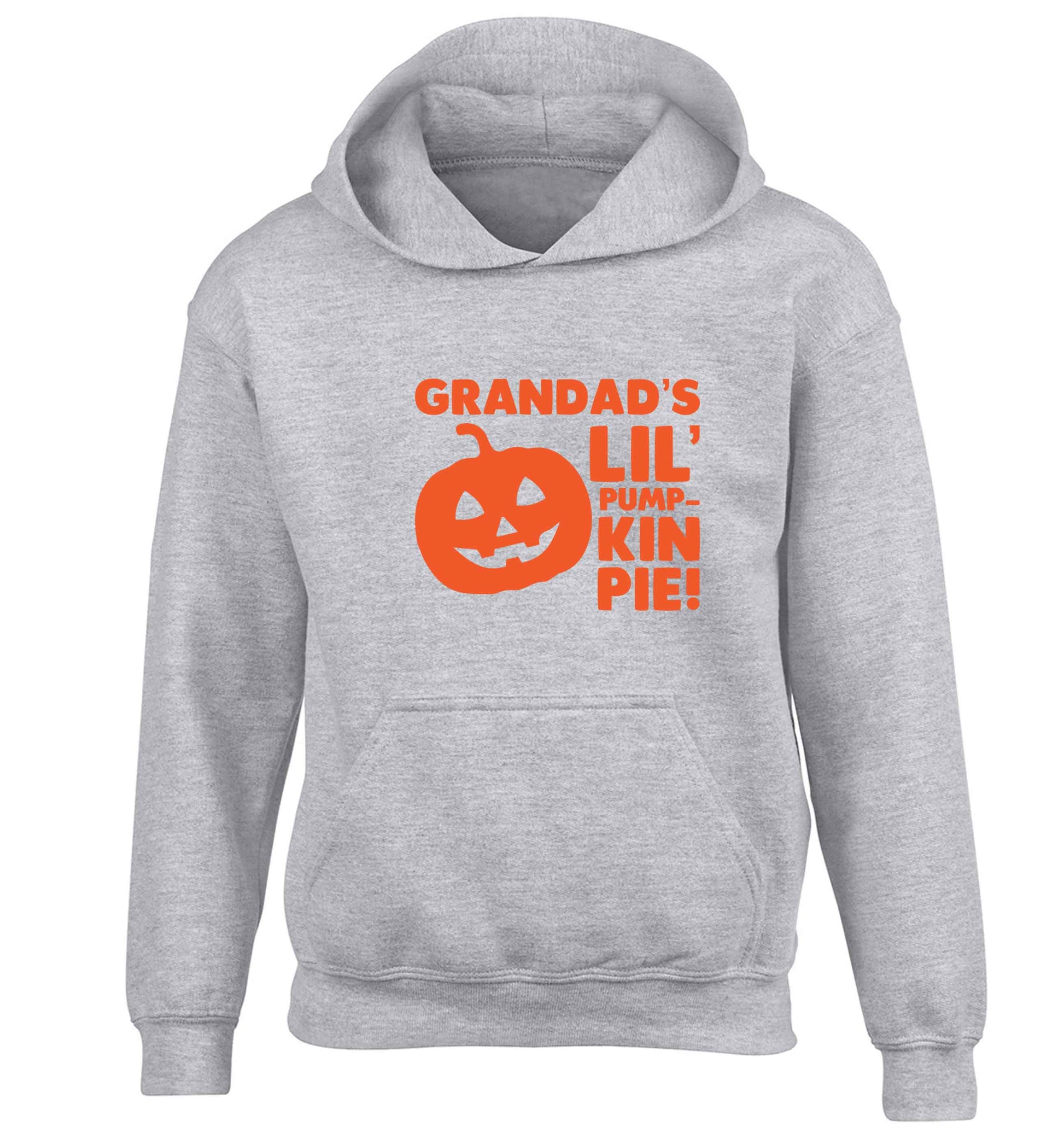 Daddy's lil' pumpkin pie children's grey hoodie 12-13 Years