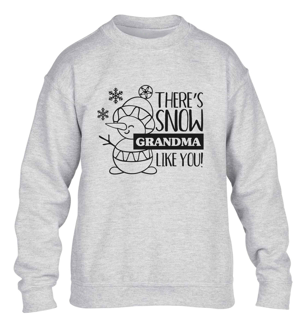There's snow grandma like you children's grey sweater 12-13 Years