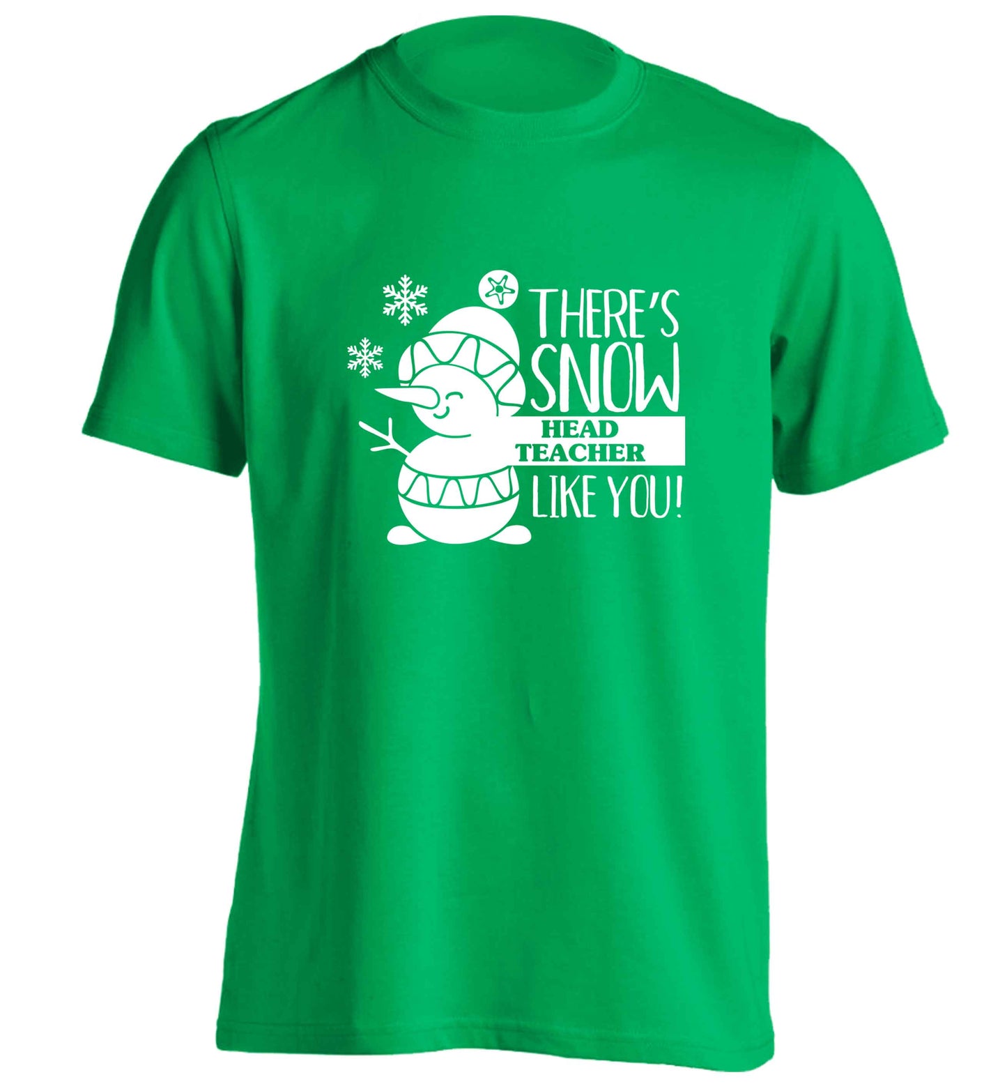 There's snow head teacher like you adults unisex green Tshirt 2XL
