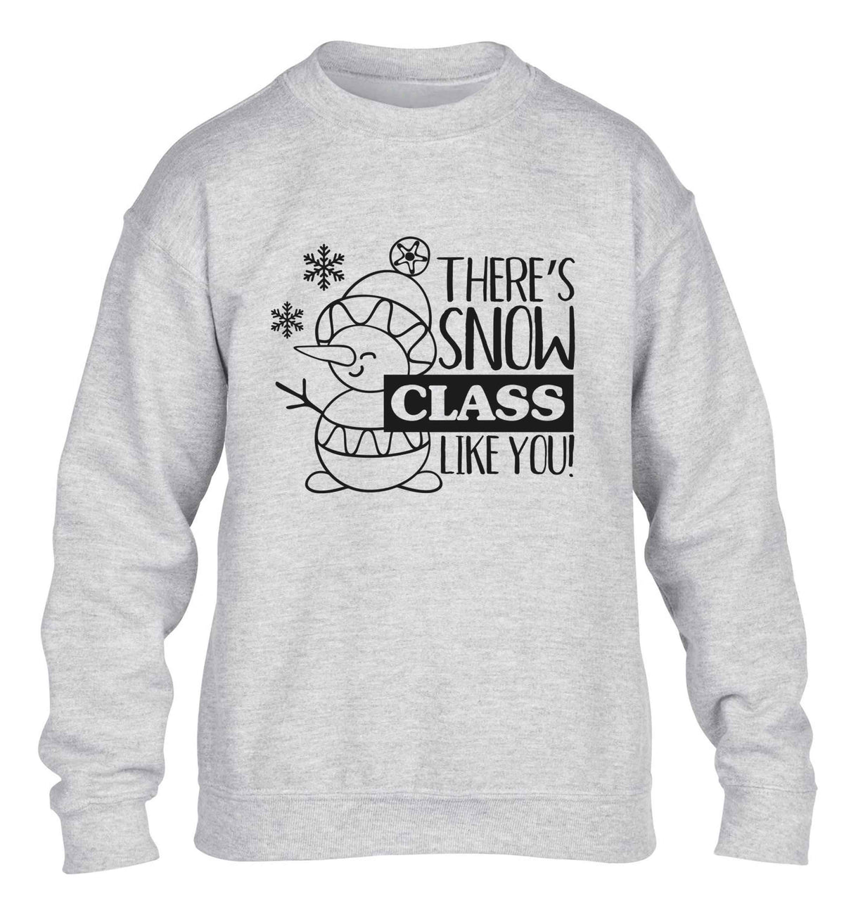 There's snow class like you children's grey sweater 12-13 Years