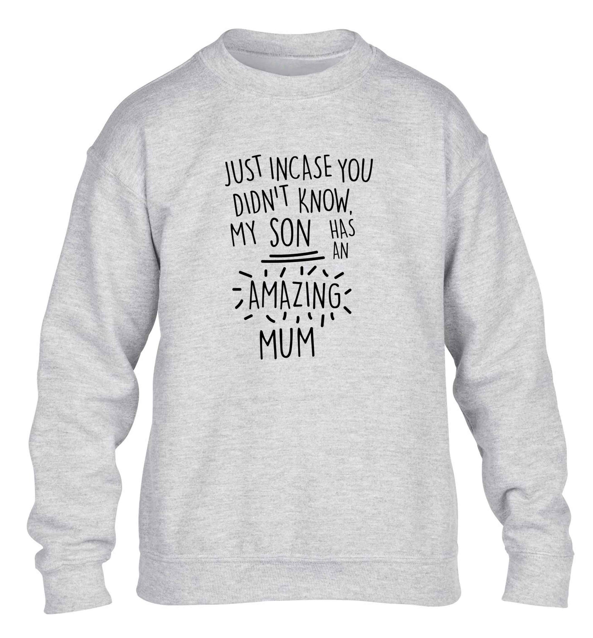 Just incase you didn't know my son has an amazing mum children's grey sweater 12-13 Years