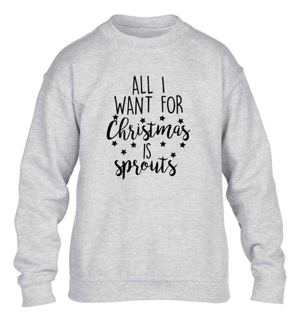 All I want for Christmas is sprouts children's grey sweater 12-13 Years