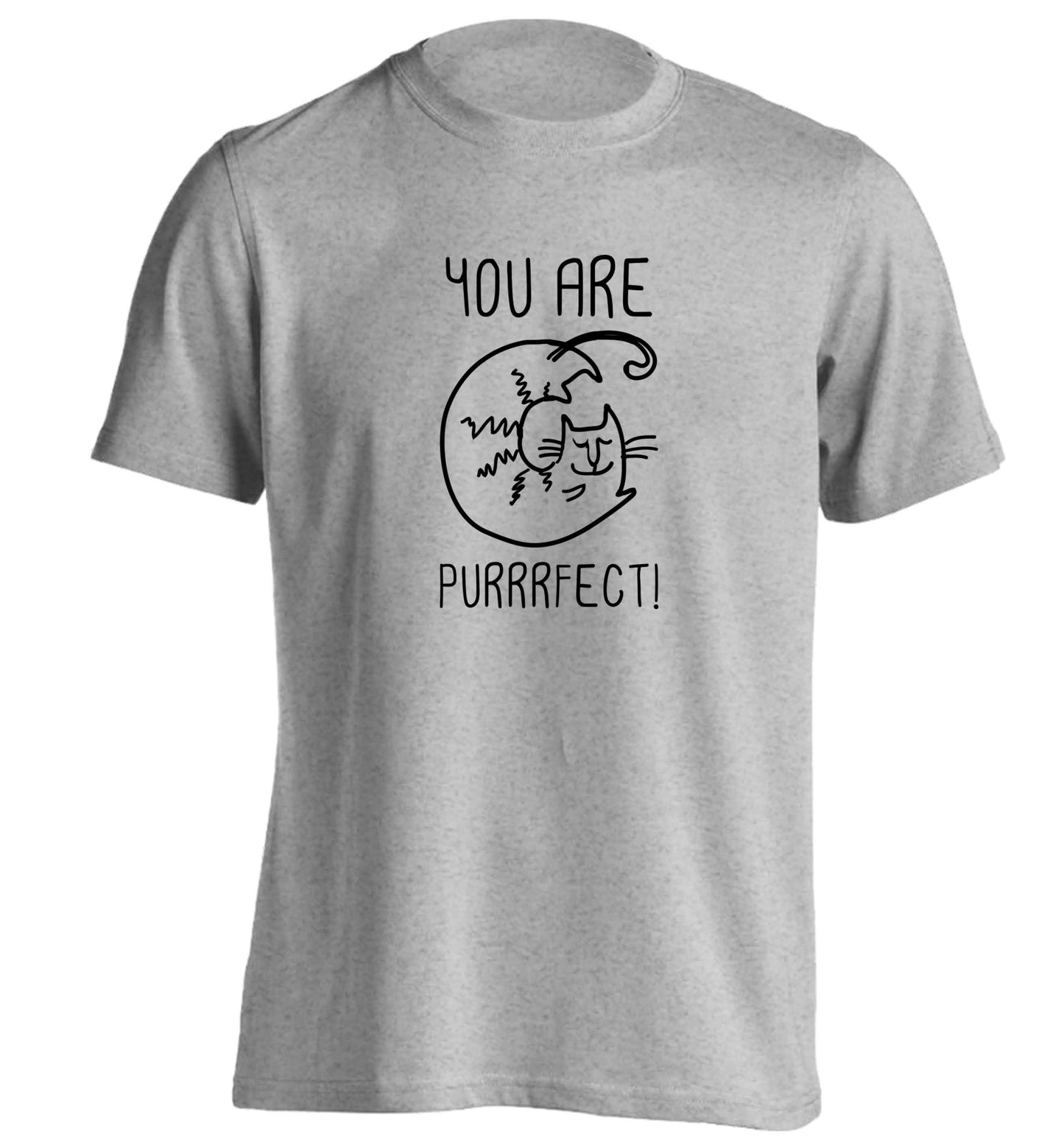 You are purrfect adults unisex grey Tshirt 2XL