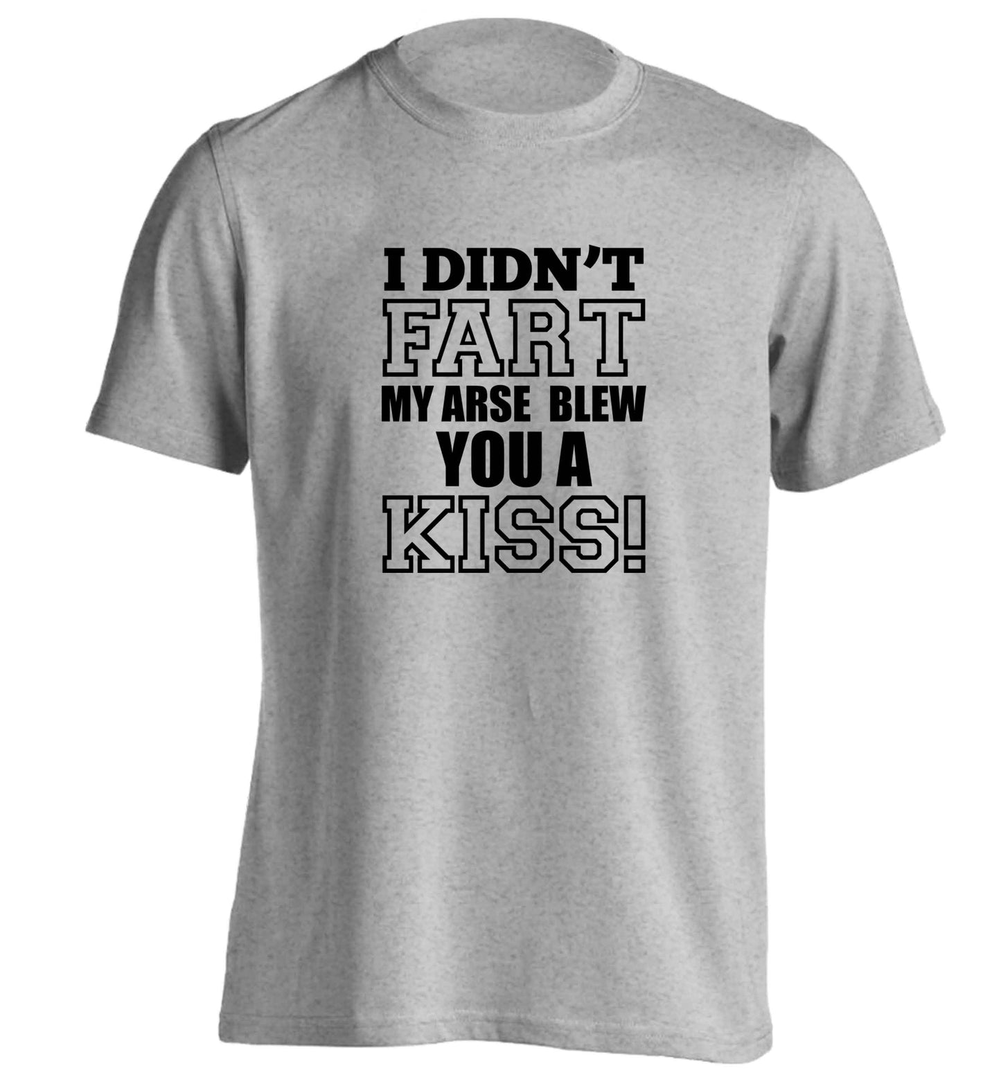 I didn't fart my arse blew you a kiss adults unisex grey Tshirt 2XL