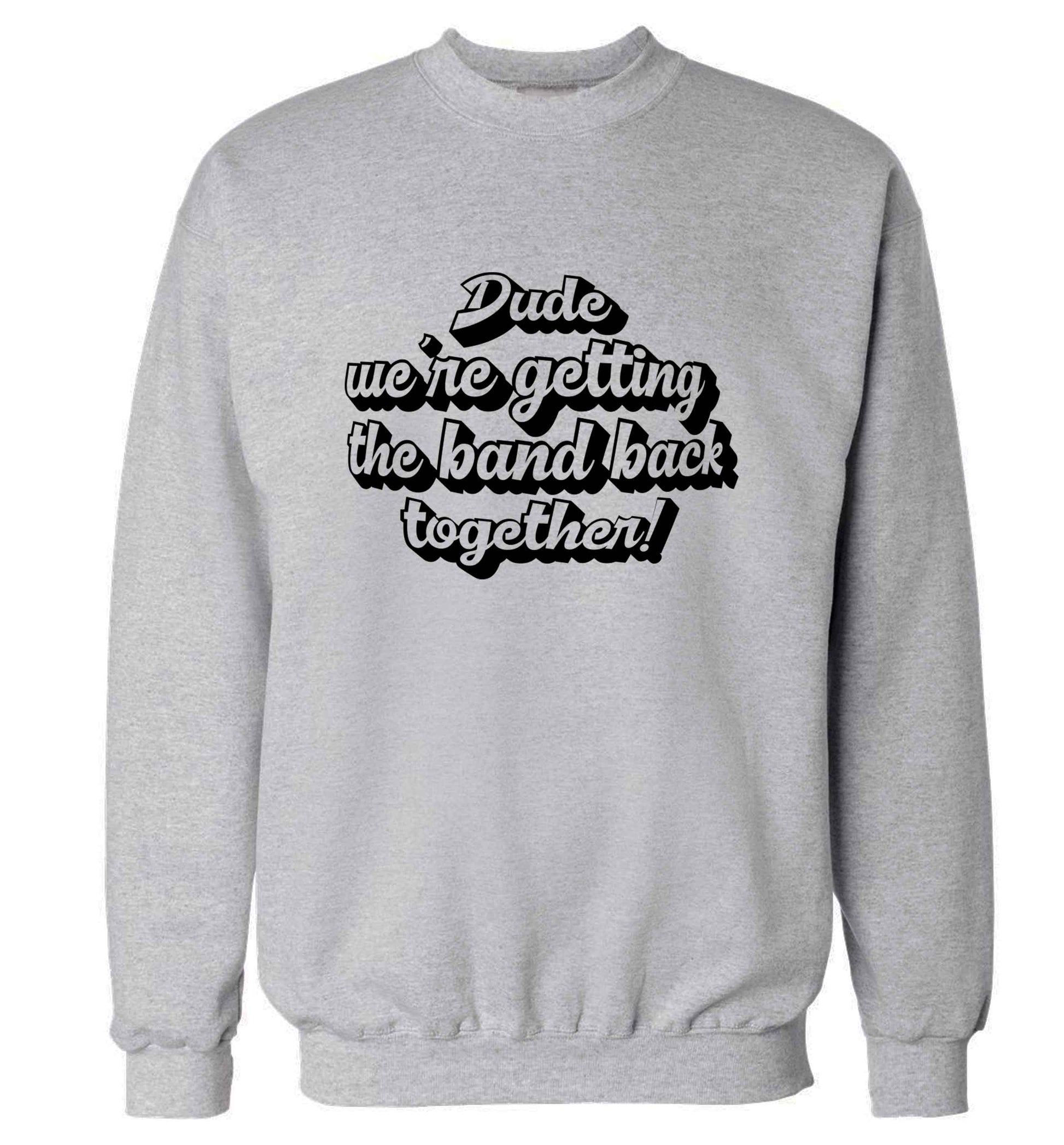 Gen Z funny viral meme  adult's unisex grey sweater 2XL