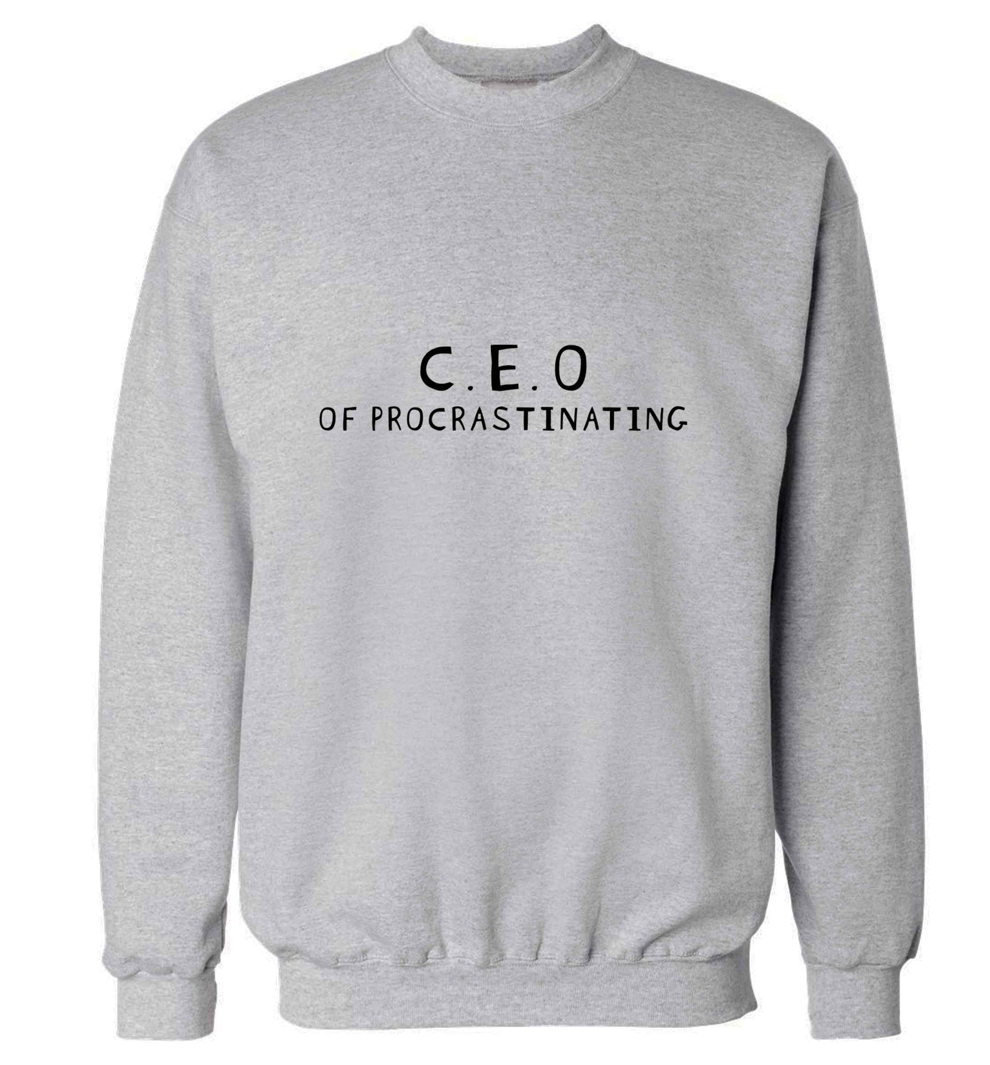 What are you president of? Personalise it here!  adult's unisex grey sweater 2XL