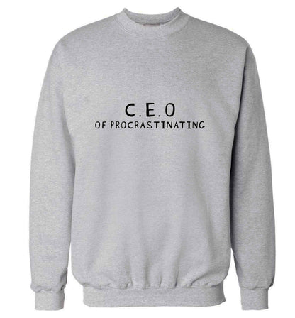 What are you president of? Personalise it here!  adult's unisex grey sweater 2XL