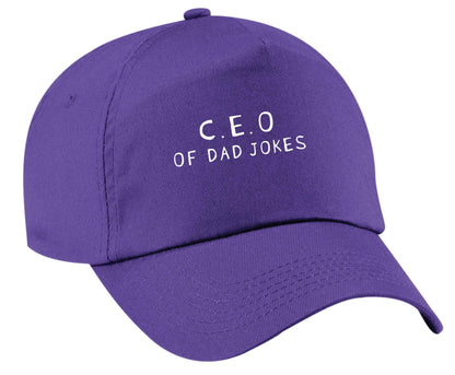C.E.O of dad jokes | Baseball Cap