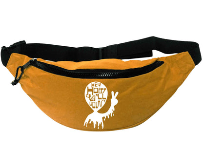 Hey, how ya'll doin'? | Recycled polyester bumbag