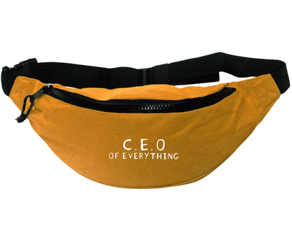 C.E.O of everything | Recycled polyester bumbag