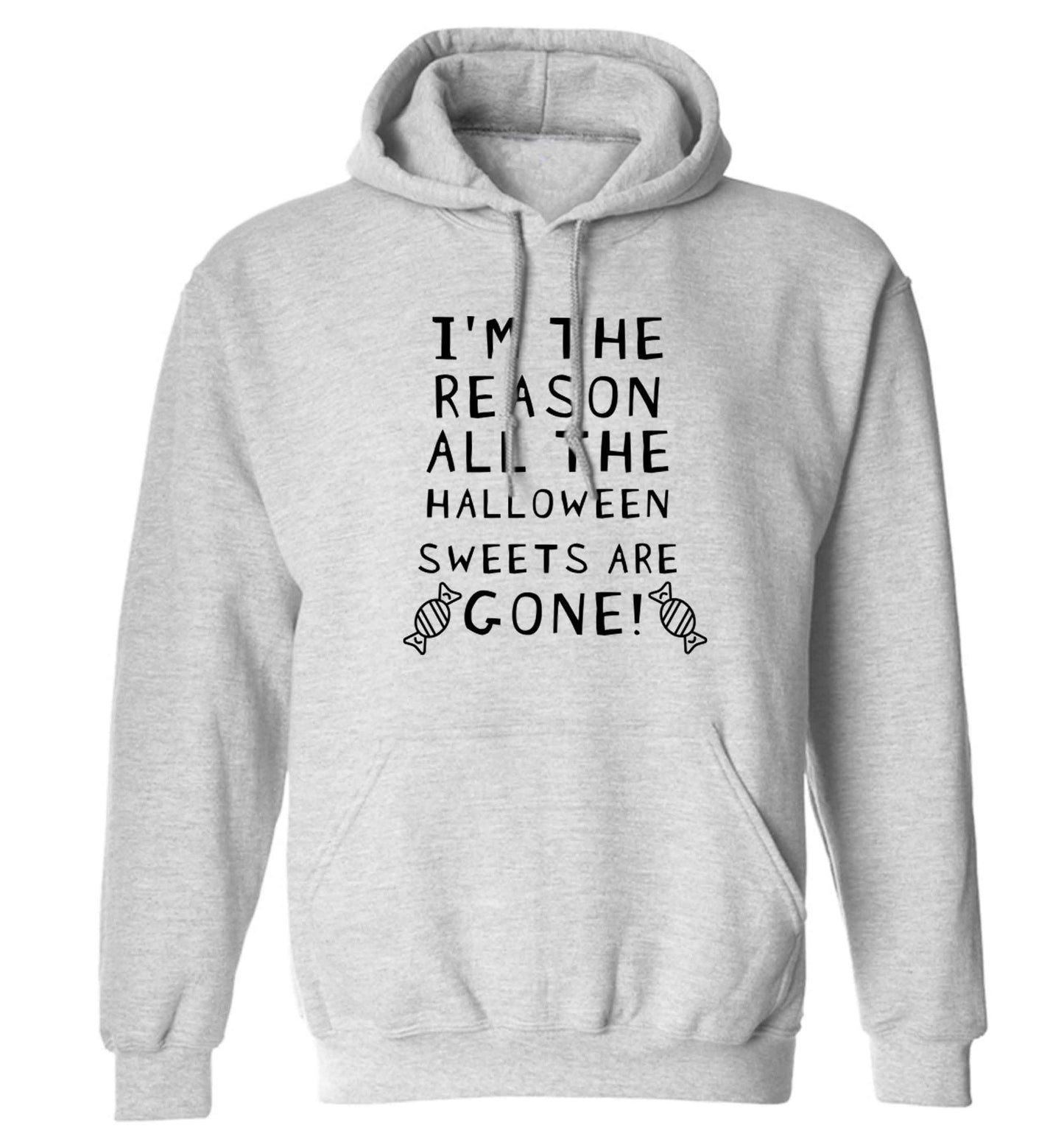 I'm the reason all of the halloween sweets are gone adults unisex grey hoodie 2XL