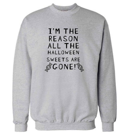 I'm the reason all of the halloween sweets are gone adult's unisex grey sweater 2XL