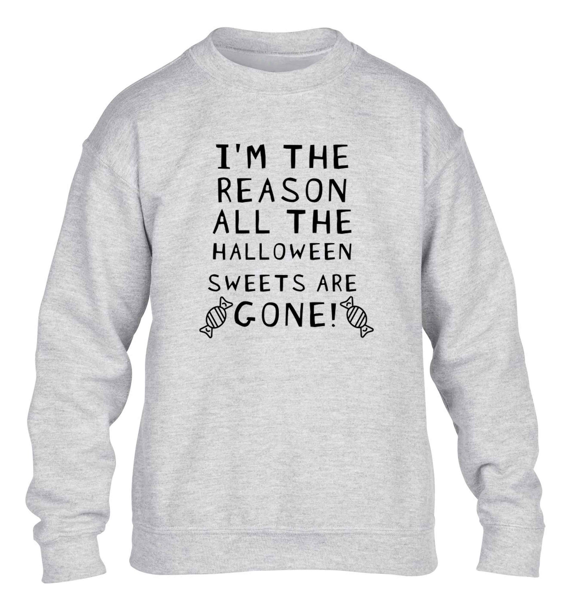 I'm the reason all of the halloween sweets are gone children's grey sweater 12-13 Years