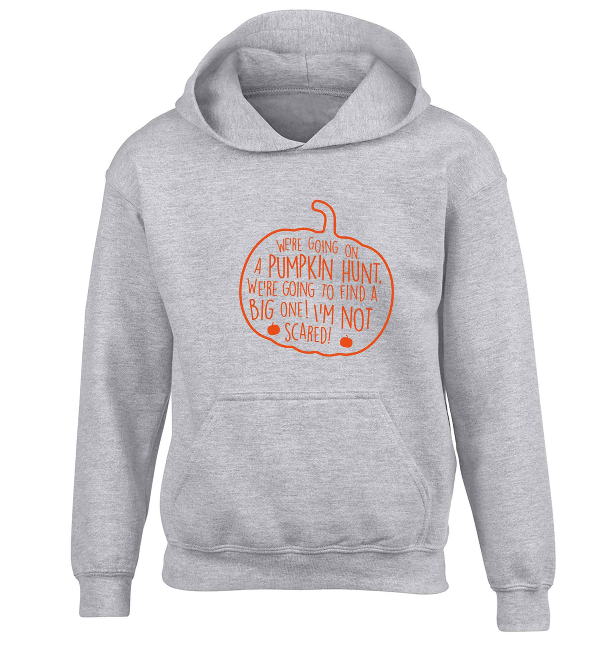 We're going on a pumpkin hunt children's grey hoodie 12-13 Years