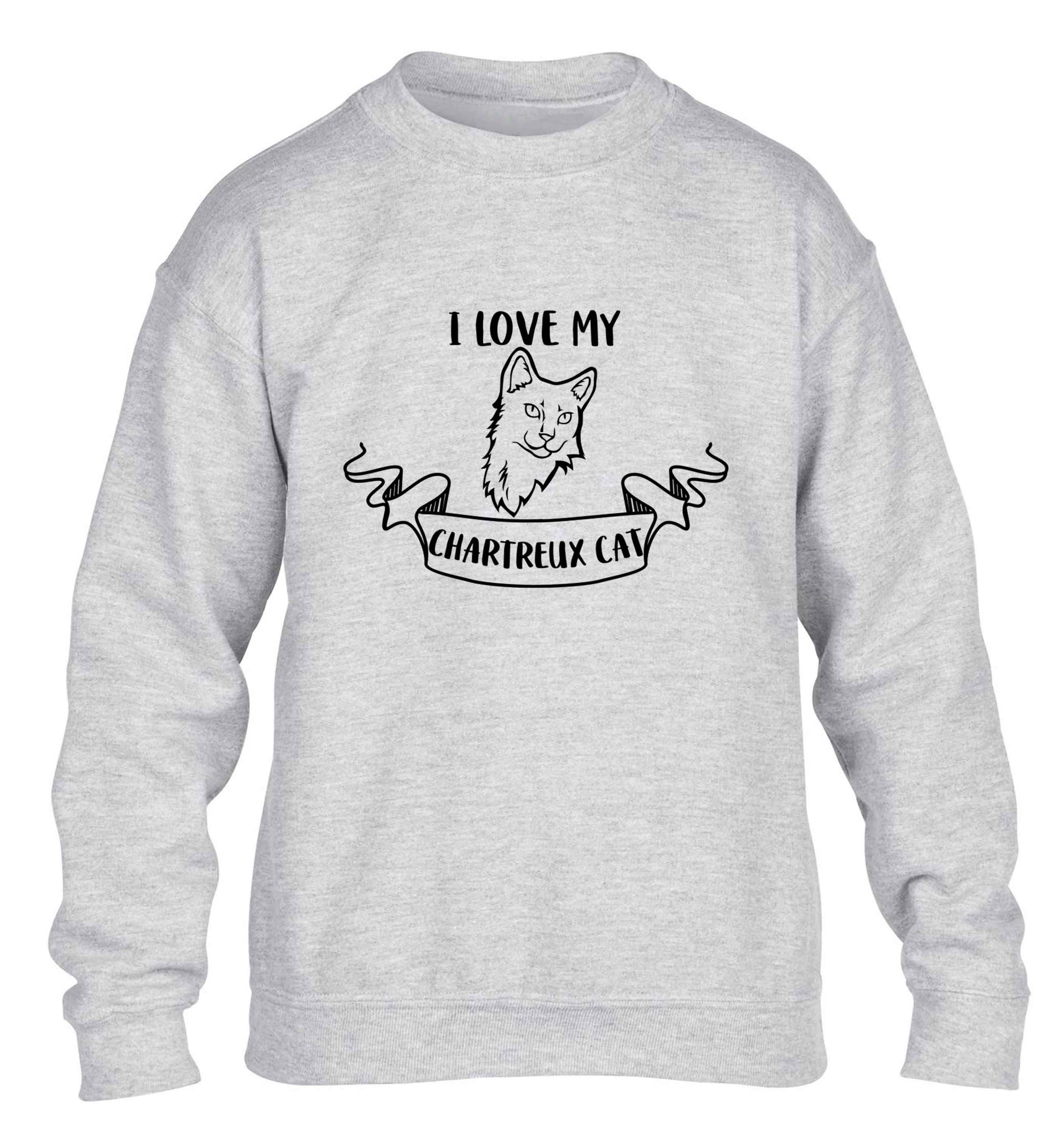 I love my chartreux cat children's grey sweater 12-13 Years