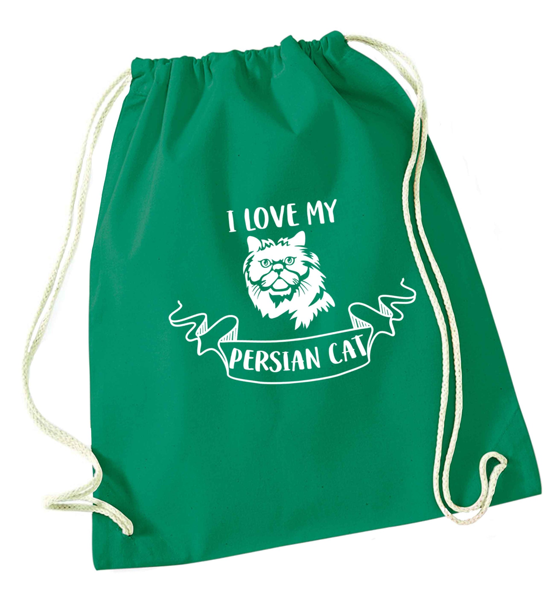 I love my persian cat green drawstring bag