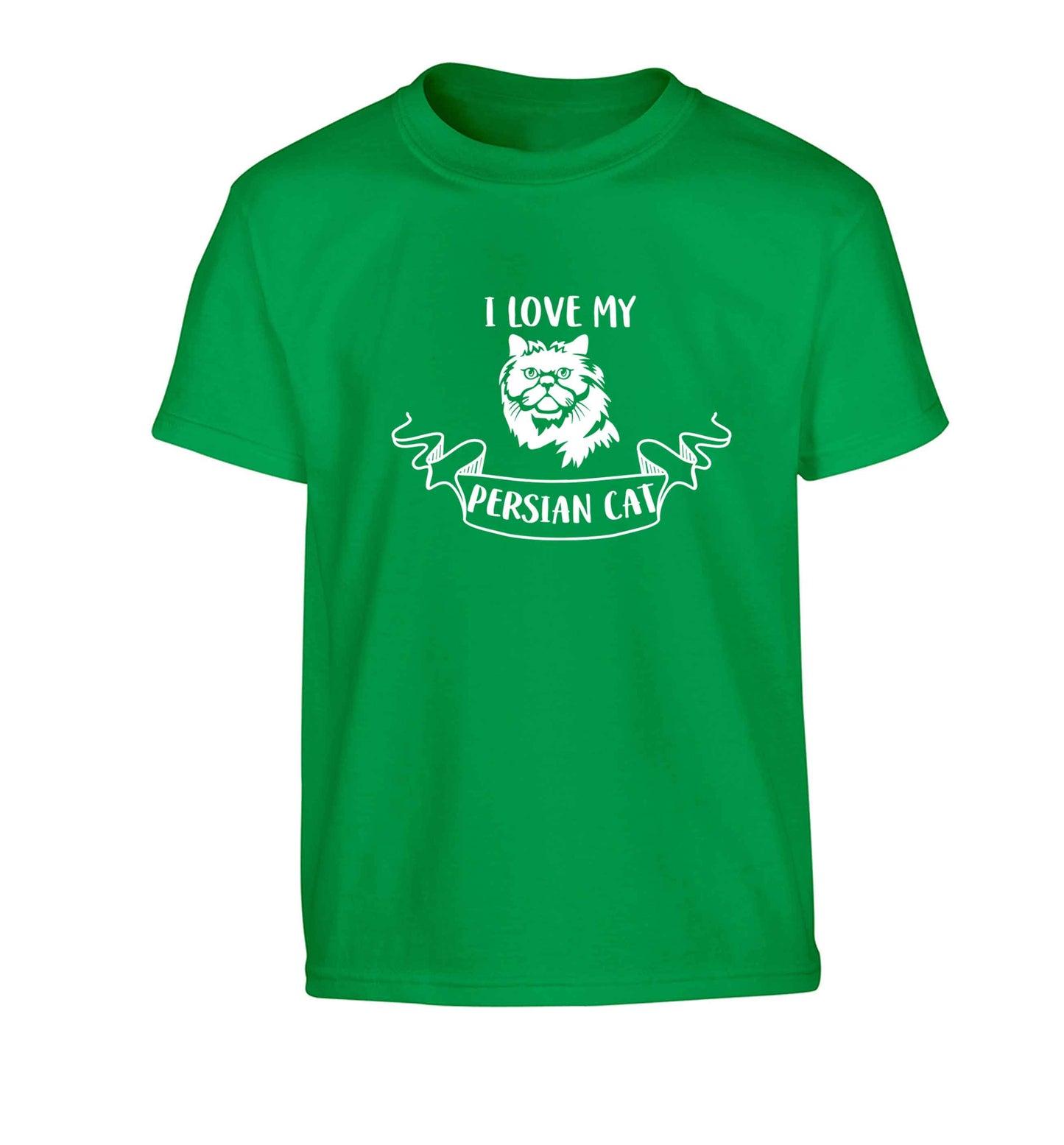 I love my persian cat Children's green Tshirt 12-13 Years