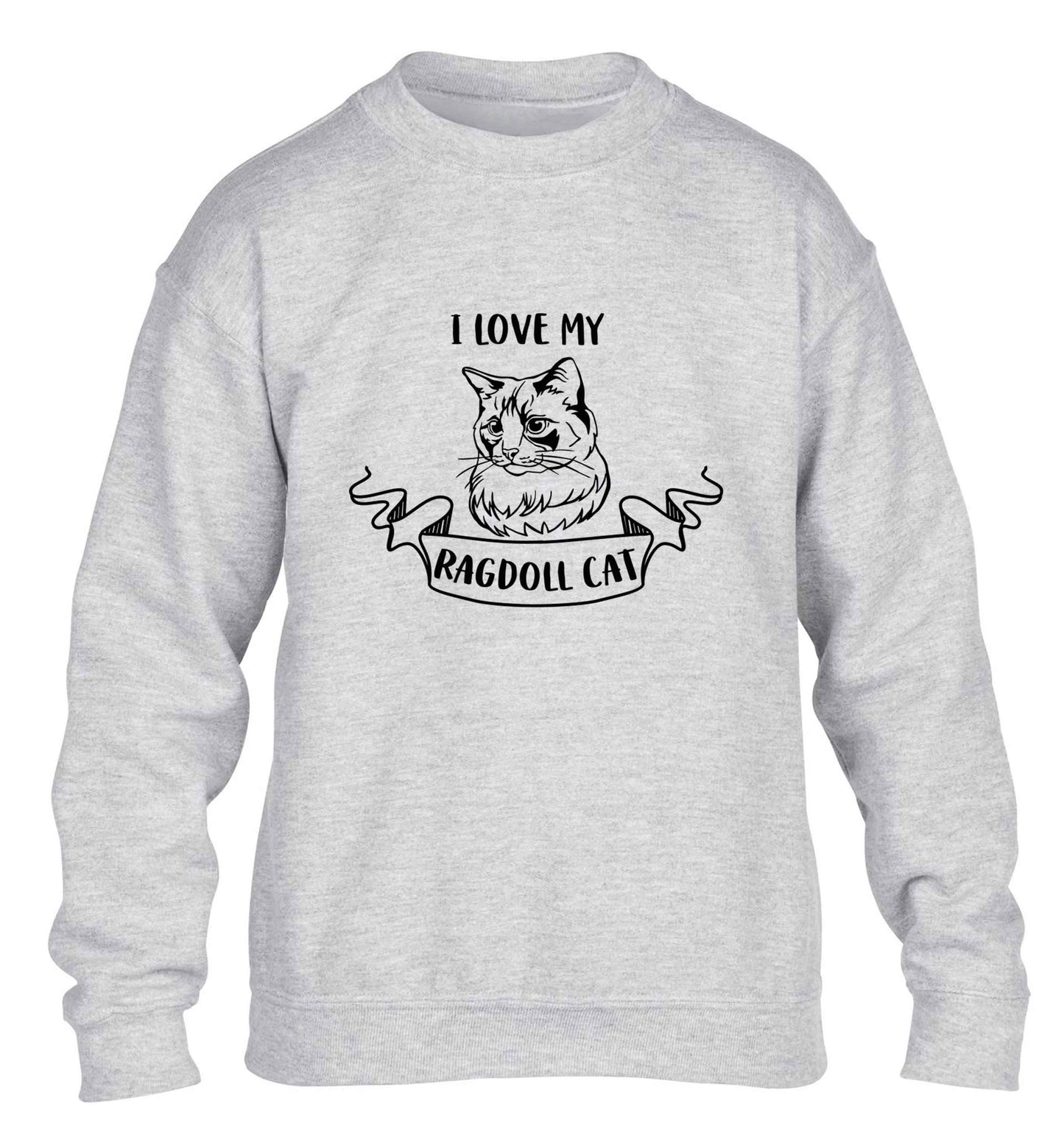 I love my ragdoll cat children's grey sweater 12-13 Years