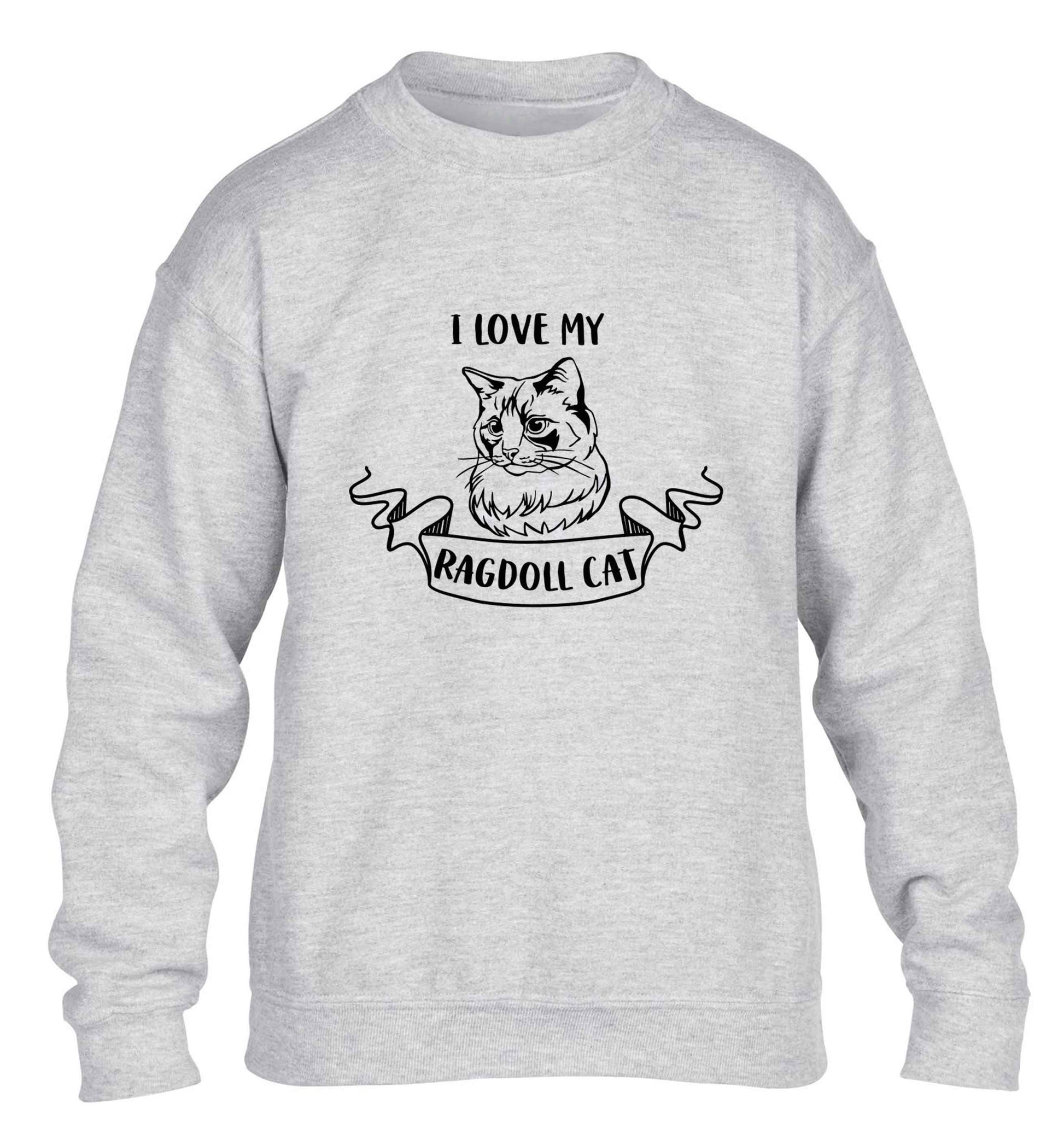 I love my ragdoll cat children's grey sweater 12-13 Years