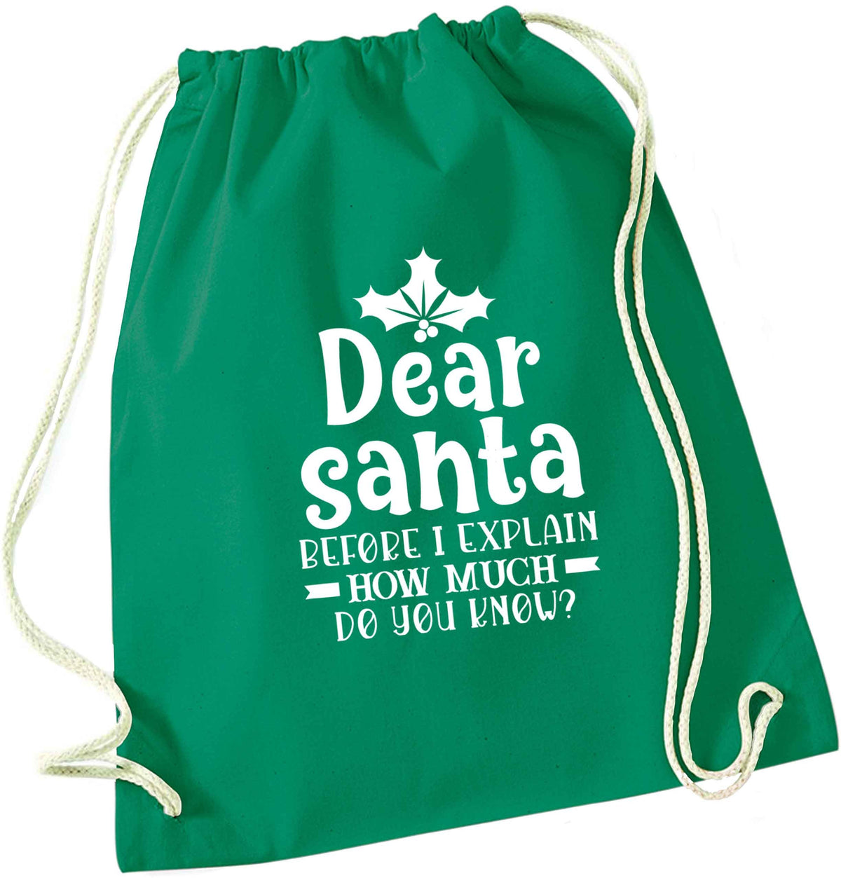 Santa before I explain how much do you know? green drawstring bag