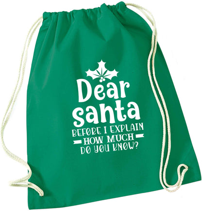Santa before I explain how much do you know? green drawstring bag