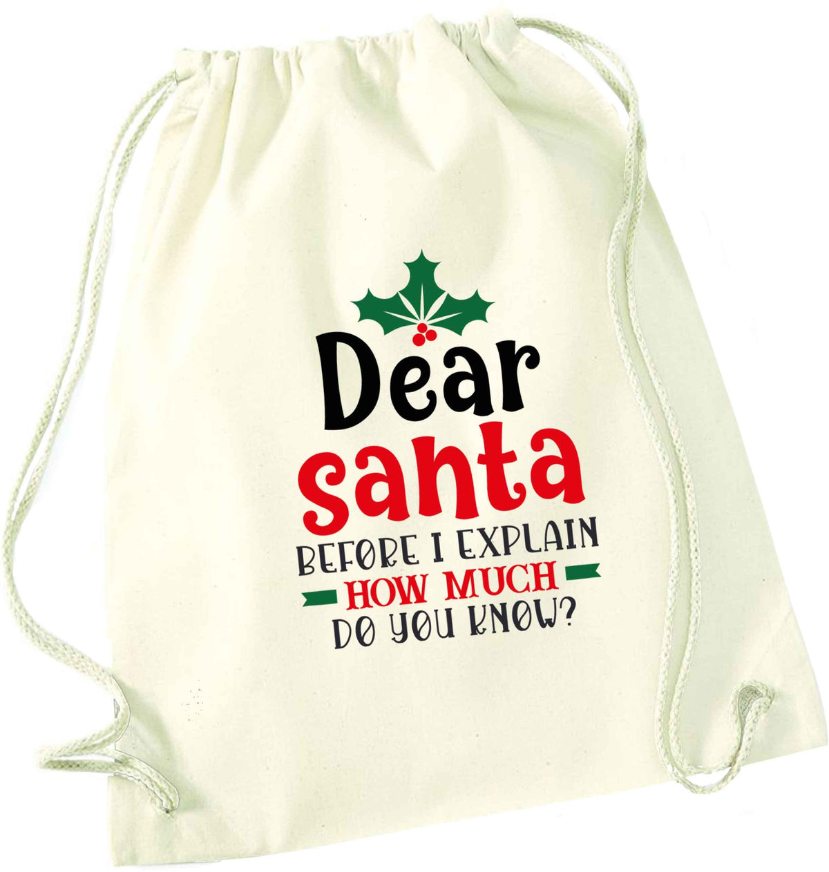 Santa before I explain how much do you know? natural drawstring bag