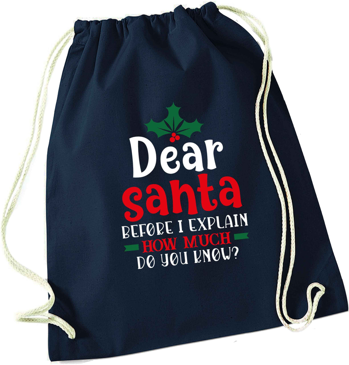 Santa before I explain how much do you know? navy drawstring bag