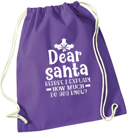 Santa before I explain how much do you know? purple drawstring bag
