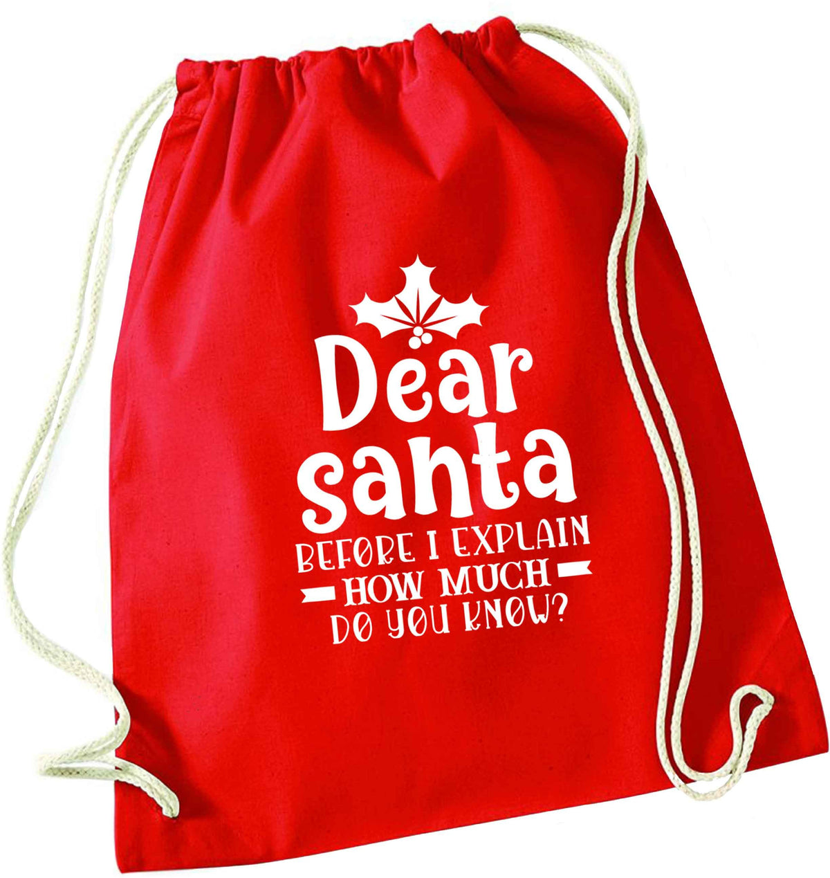 Santa before I explain how much do you know? red drawstring bag 