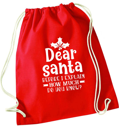 Santa before I explain how much do you know? red drawstring bag 
