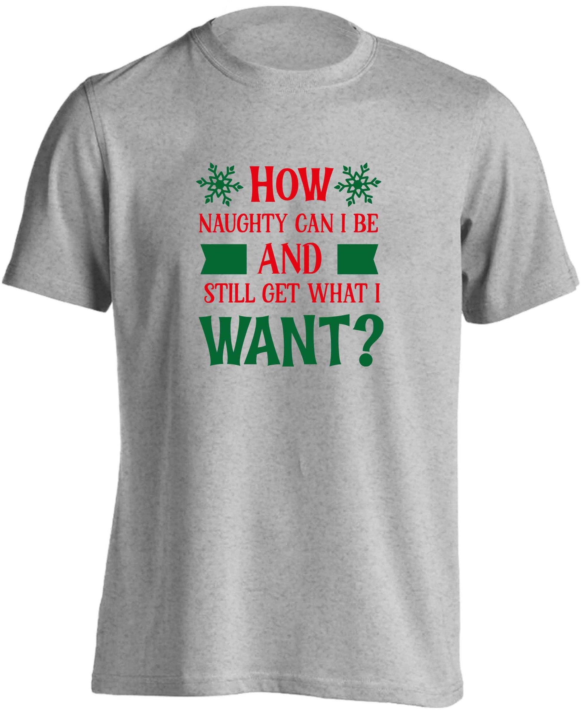 How naughty can I be and still get what I want? adults unisex grey Tshirt 2XL