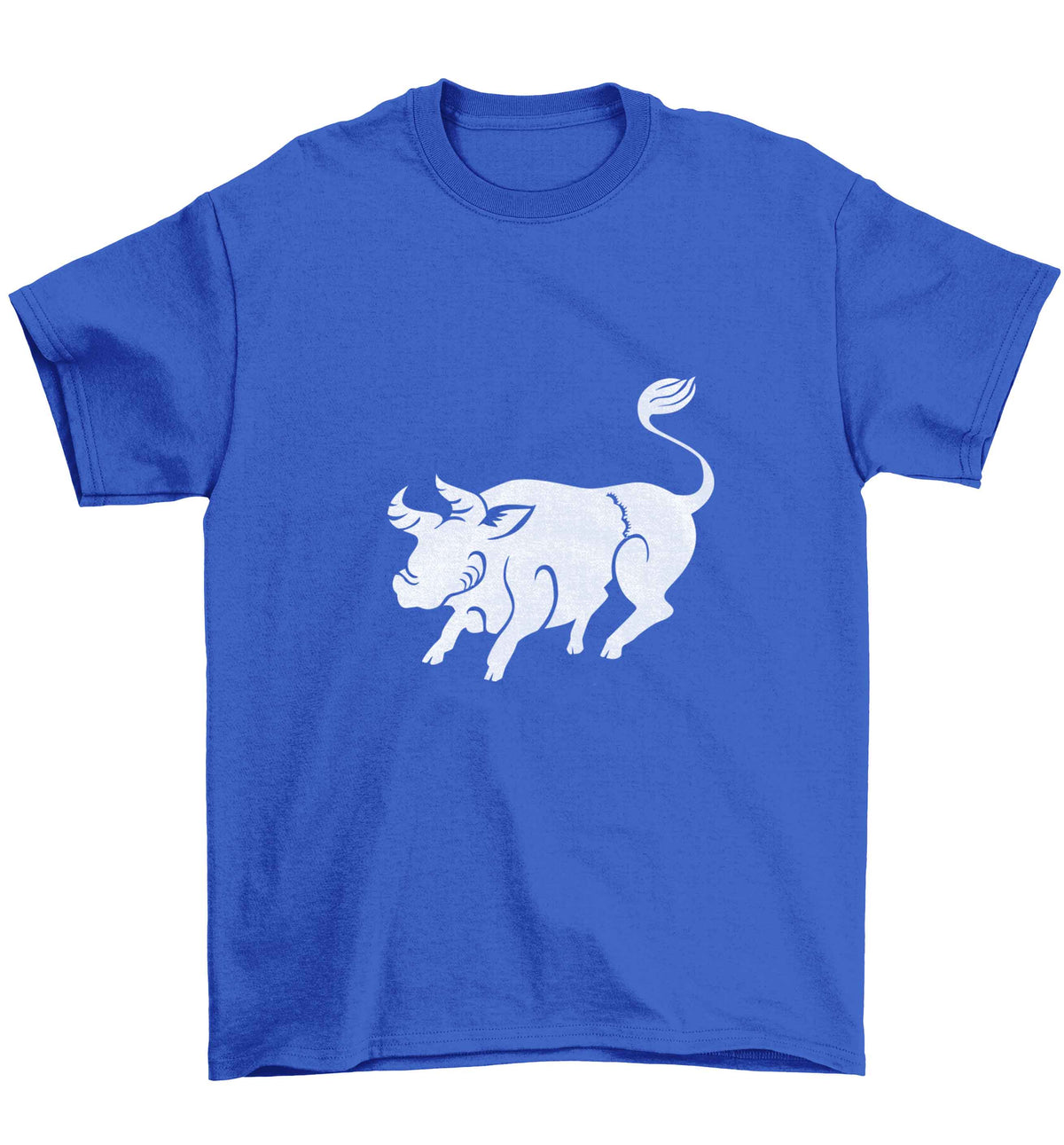 Pig face Children's blue Tshirt 12-13 Years