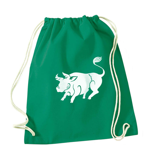 Pig face green drawstring bag