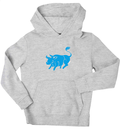 Blue ox children's grey hoodie 12-13 Years