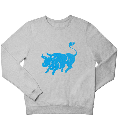 Blue ox children's grey sweater 12-13 Years