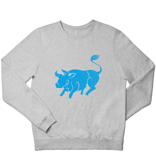 Blue ox children's grey sweater 12-13 Years