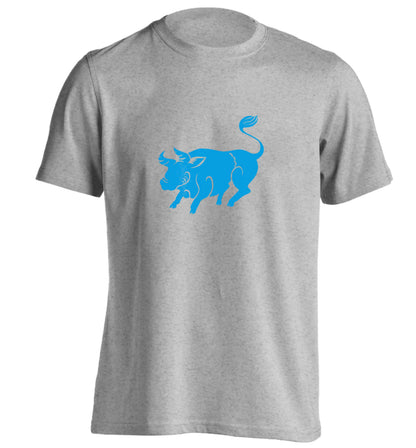 Pig face adults unisex grey Tshirt 2XL