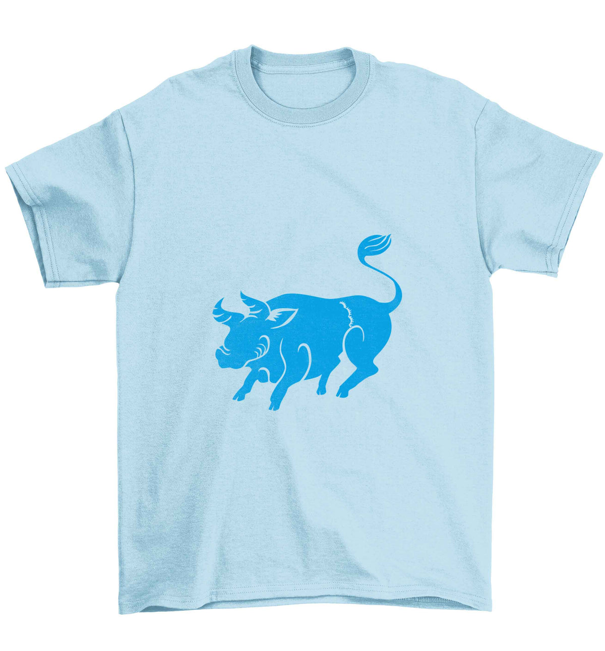 Pig face Children's light blue Tshirt 12-13 Years