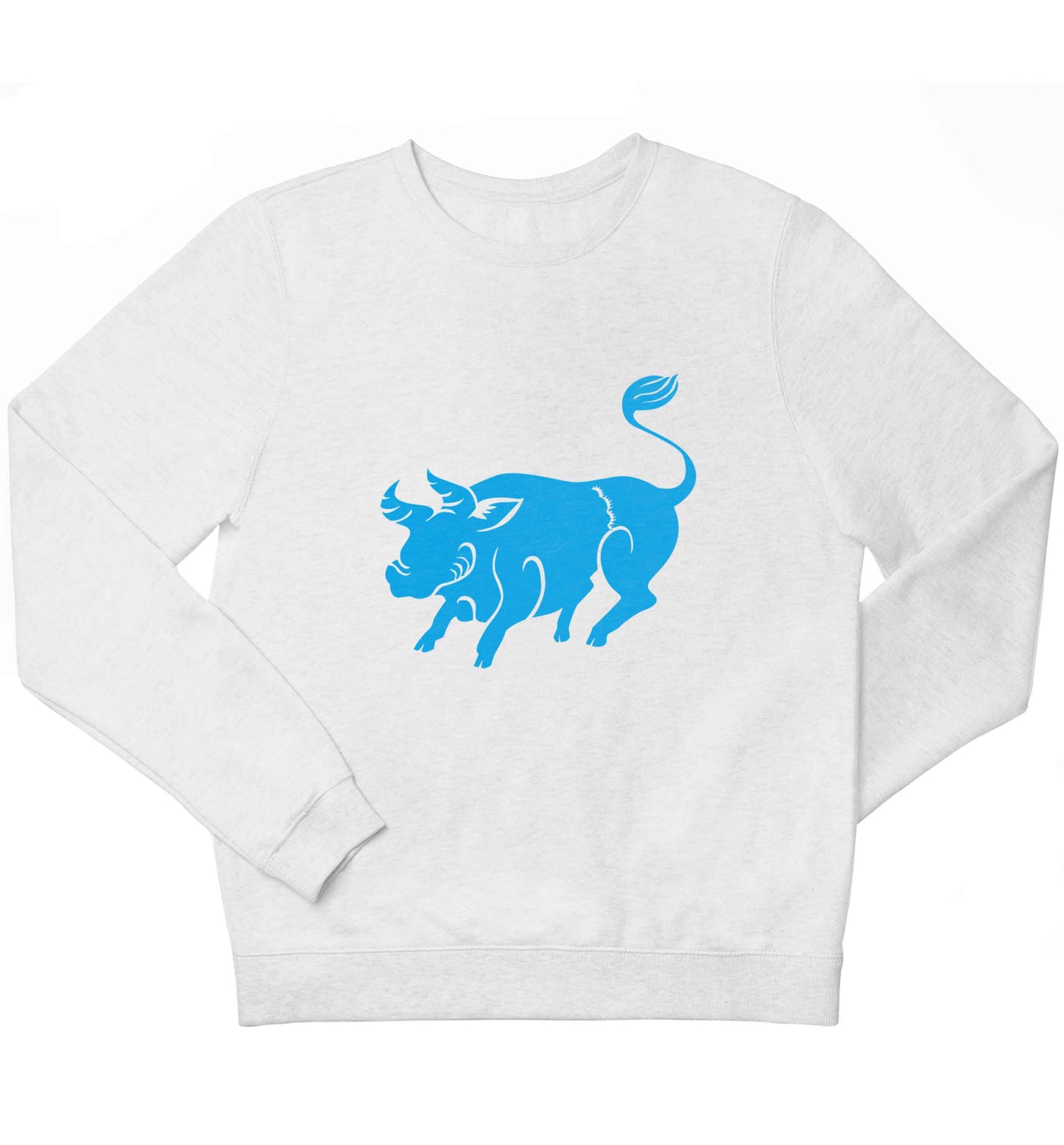 Blue ox children's white sweater 12-13 Years