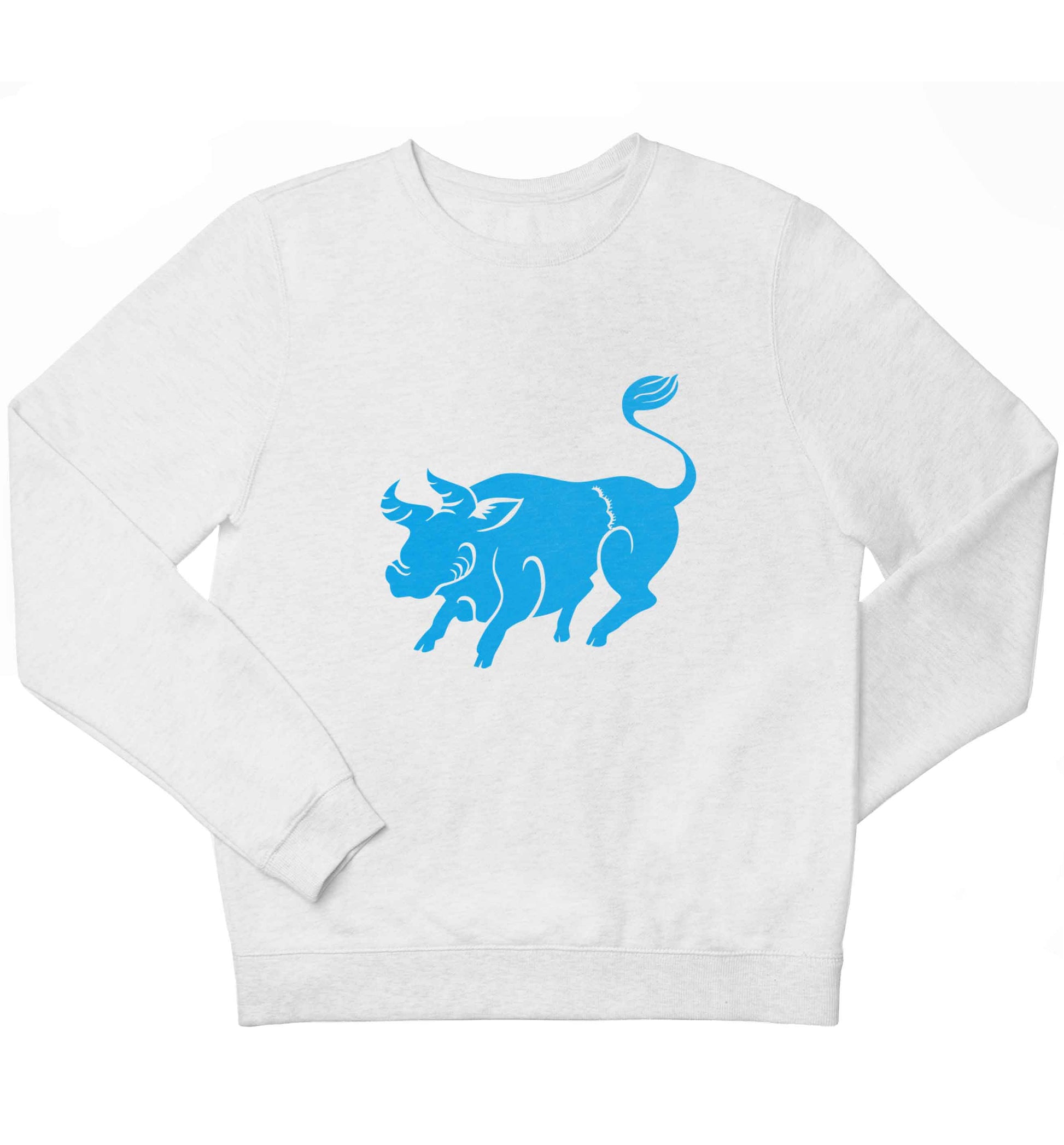 Blue ox children's white sweater 12-13 Years