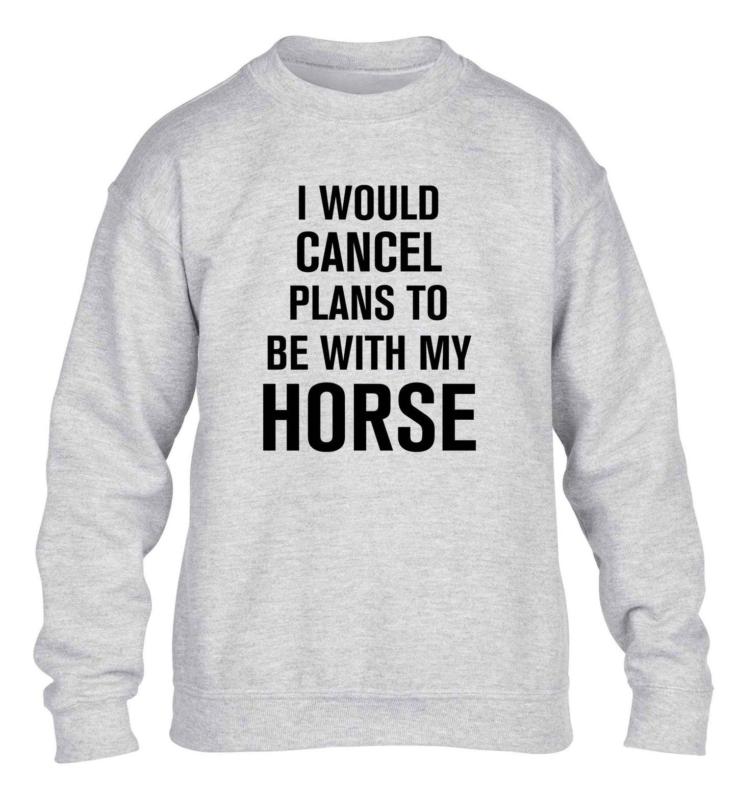 I will cancel plans to be with my horse children's grey sweater 12-13 Years