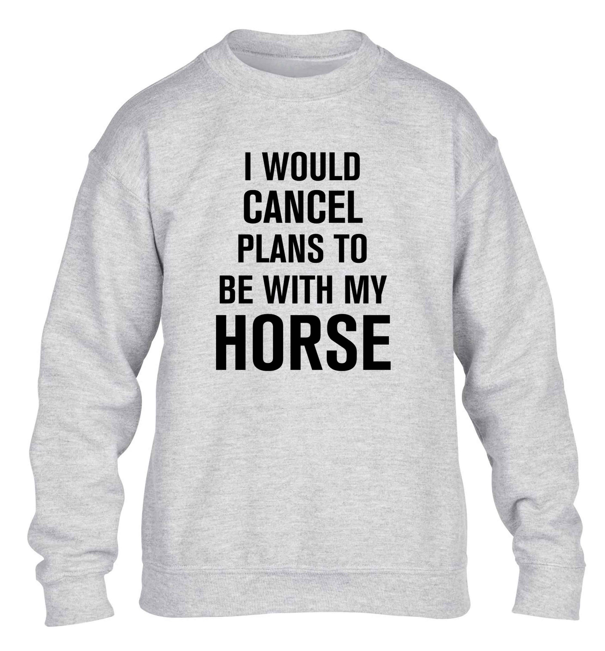 I will cancel plans to be with my horse children's grey sweater 12-13 Years