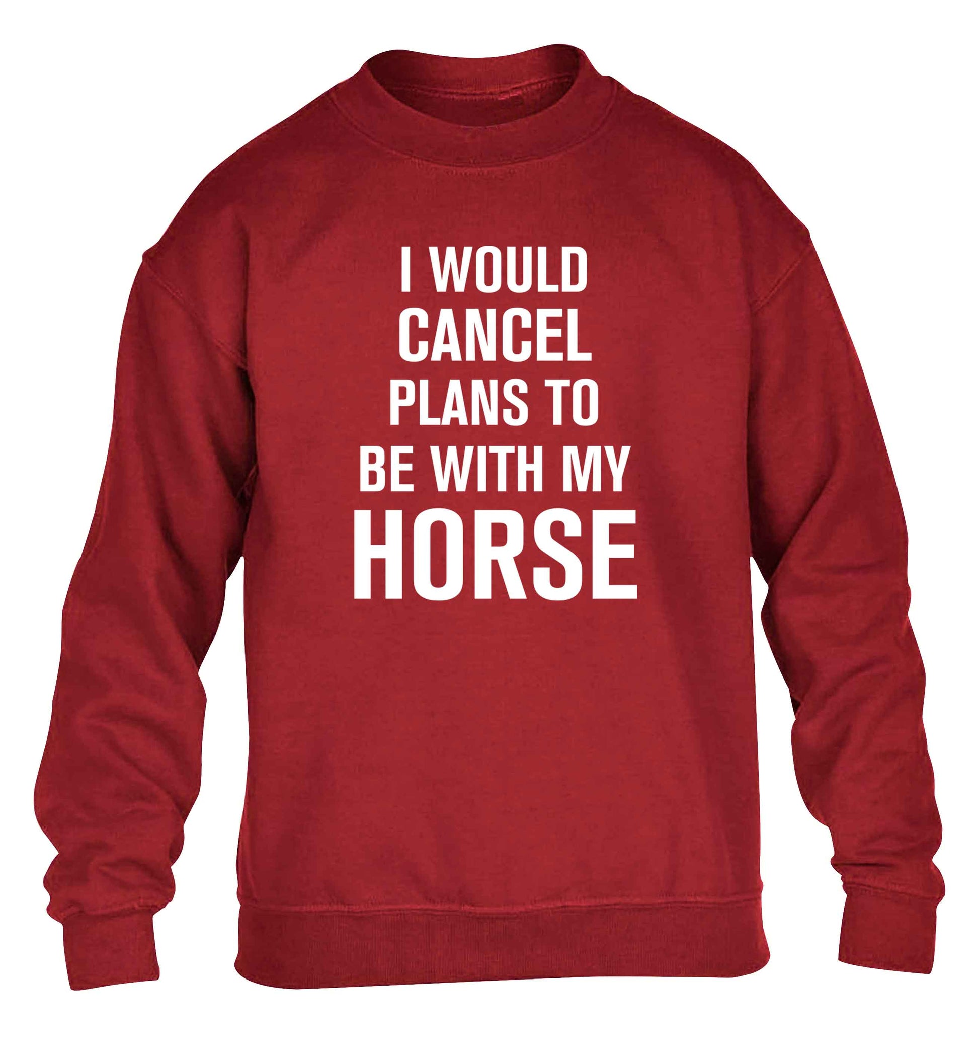 I will cancel plans to be with my horse children's grey sweater 12-13 Years