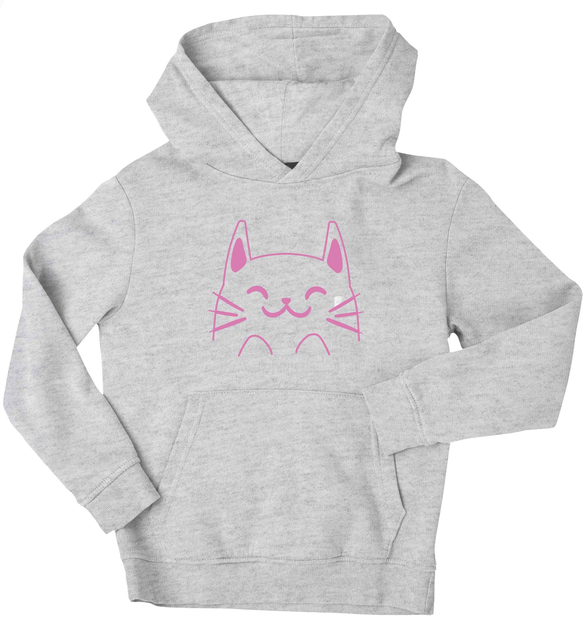 Cat illustration children's grey hoodie 12-13 Years