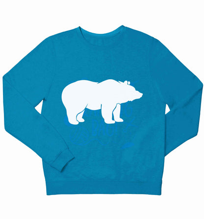 Blue bear children's blue sweater 12-13 Years