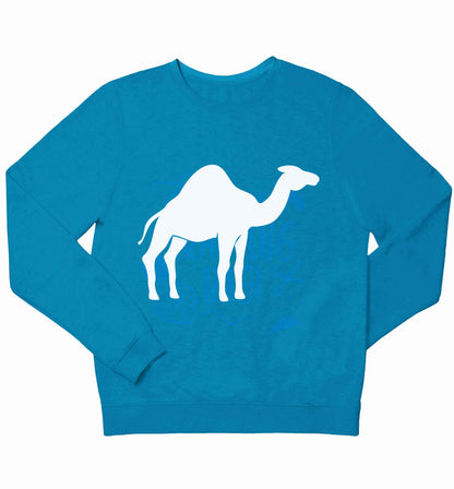Blue camel children's blue sweater 12-13 Years