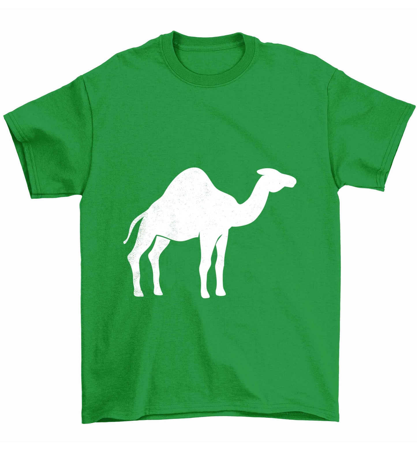 Blue camel Children's green Tshirt 12-13 Years