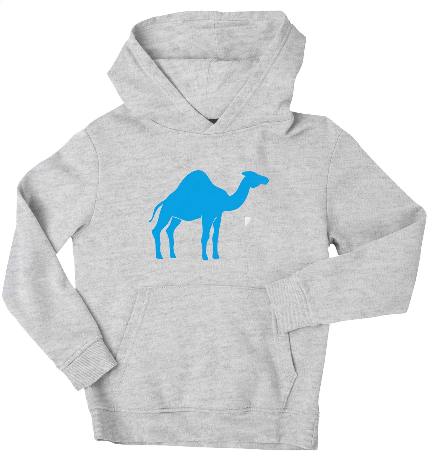 Blue camel children's grey hoodie 12-13 Years