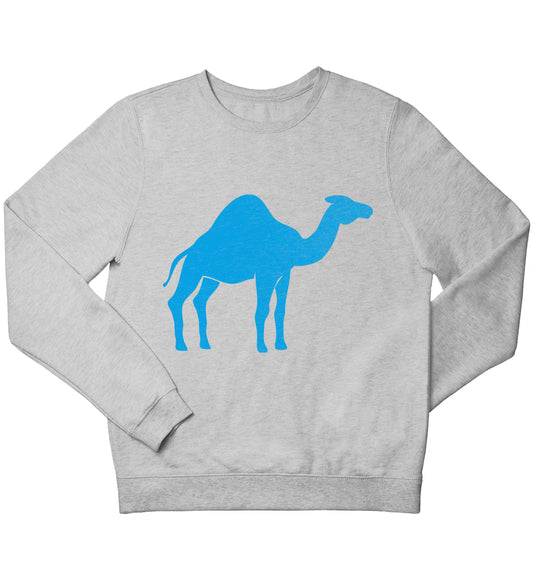Blue camel children's grey sweater 12-13 Years