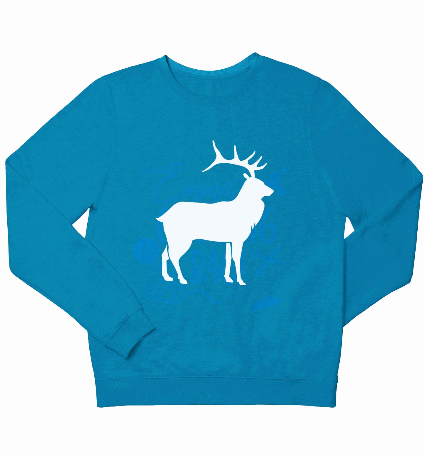 Green stag children's blue sweater 12-13 Years